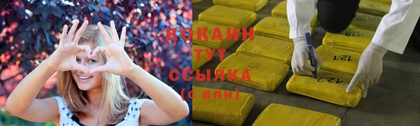 apvp Богородск