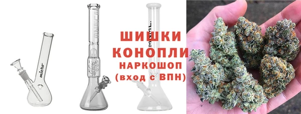 гашик Богданович