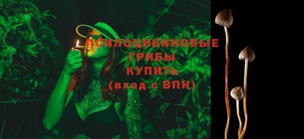 трава Богородицк