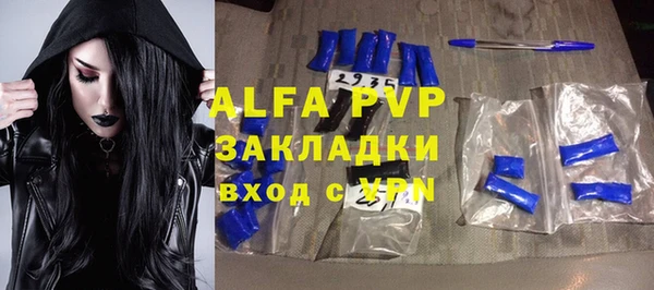гашик Богданович