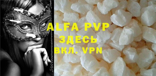 гашик Богданович