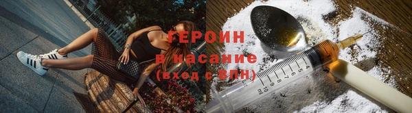 гашик Богданович