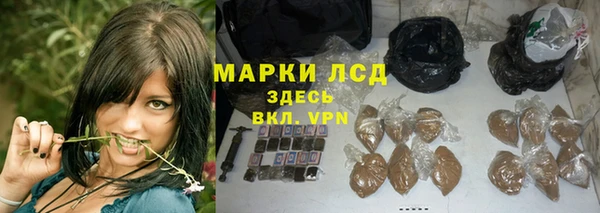 гашик Богданович